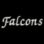 Falcons White Thread Embroidery