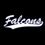 Falcons Navy-White Design