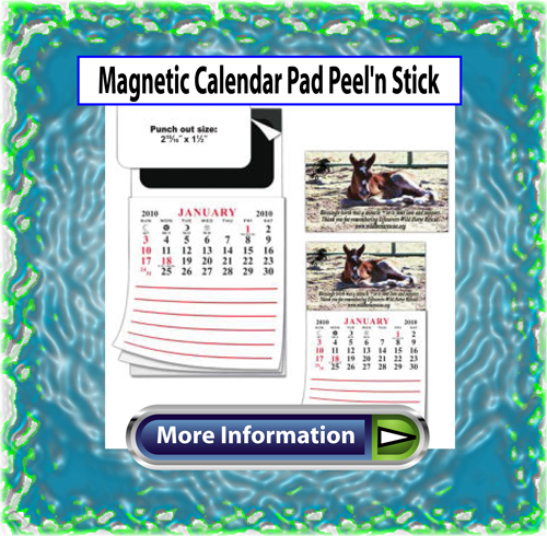		 	Magnets-Memo Holder,Clips-Utility-Magnetic,Magnets-Industrial/Toy 	Calendars-Magnetic,Business Cards-Magnetic,Calendars-Sports Schedule,Picture Frames-Magnetic,Openers-Bottle,Signs & Displays-Magnetic,Picture Frames-General 		 BIC Graphic USA (R) - MGBC 30 mil magnet - Business card magnet, 2" x 3 1/2". Magnets are made from flexible magnet sheets.  	 Magnet LLC (TM) - BCE1 Magnetic four color process business card with .020 mil thickness.  	  Sport Products - Magnet-MPMT033 House - Magnet in various shapes.  	 Sport Products - Magnet-MPMT003 Ice cream cone design magnet.  	 Sport Products - Magnet-SSMT007 Megaphone - Sports spirit design magnet,Oversea Imprint - B9018 MAGNET Bear shape bottle opener with magnet.  Sport Products - Magnet-MPMT019 Star badge design magnet,Pinnacle Designs - RP-Magnets Rubber Softies - 3" - Two dimensional Rubber Softies magnets,Oversea Imprint - B9012 magnet Cartoon car shape bottle opener with magnet,Sport Products - Magnet-MPMT034 Book - Magnet in various shapes.  Sport Products - Magnet-MPMT026 Chili Pepper - Magnet in various shapes,Sport Products - Magnet-MPMT030 Vote design magnet,Sport Products - Magnet-MPMT024 Apple - Magnet in various shapes,Sport Products - Magnet-MPMT004 Proud parent design magnet.  Lantor 3D Lenticular - MAGNET 25x25 Refrigerator magnet with 3D lenticular custom images of a dancing animated hula girl,Sport Products - Magnet-SSMT005 Football Helmet - Sports spirit design magnet,Sport Products - Magnet-MPMT018 Starburst design magnet,Sport Products - Magnet-COMT010 Class of '10 - Class year magnet,Sport Products - Magnet-MSMT017,Sport Products - Magnet-MSMT008 Eagle - Mascot spirit design magnet,Sport Products - Magnet-GMT015 Indiana state shaped magnet. Oversea Imprint - B9014 MAGNET Dolphin shape bottle opener with magnet.  Sport Products - Magnet-GMT011 Georgia state shaped magnet,Lantor 3D Lenticular - MAB03-MAGNET Round magnet with 3D lenticular custom images of President Obama and Capitol Hill,Sport Products - Magnet-MPMT031 Tooth - Magnet in various shapes,Sport Products - Magnet-MPMT020 Shield badge design magnet.  Information, data and/or screens (the "Material") from this site may not be copied, duplicated, saved, archived, or captured by any means except that the Material may be used as part of normal browser caching and printing performed in the course of using the site for its intended purpose.  