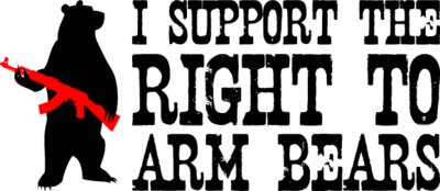 I Support The Right To Arm Bears