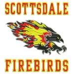 Firebirds Football Bird Embroidery Design