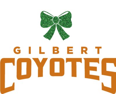 Gilbert Coyotes Football Mom