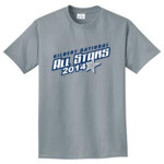 (Add Name & Number) Juniors All Stars Youth & Adult Grey T-Shirts