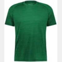 ALL-PRO TEE Thumbnail