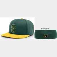Player Hat 2025 PTS20 PULSE R-FLEX Thumbnail