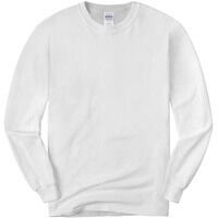 Ultra Cotton 100% Cotton Long Sleeve T Shirt Savy Thumbnail