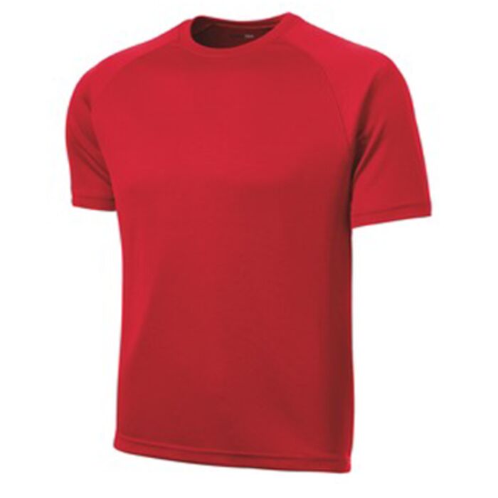 Dry Zone ® Short Sleeve Raglan T Shirt Thumbnail
