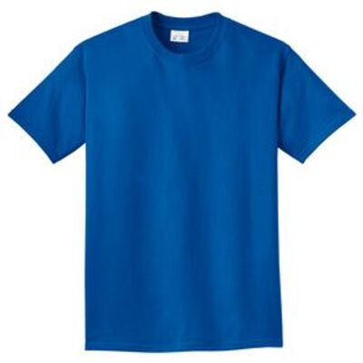 Port & Company® - Essential Pigment-Dyed Tee. PC099 Thumbnail