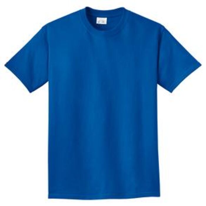 Port & Company® - Essential Pigment-Dyed Tee. PC099 Thumbnail