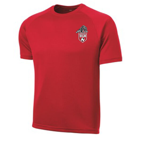 Player Jersey Dry Zone ® Short Sleeve Raglan T Shirt Thumbnail