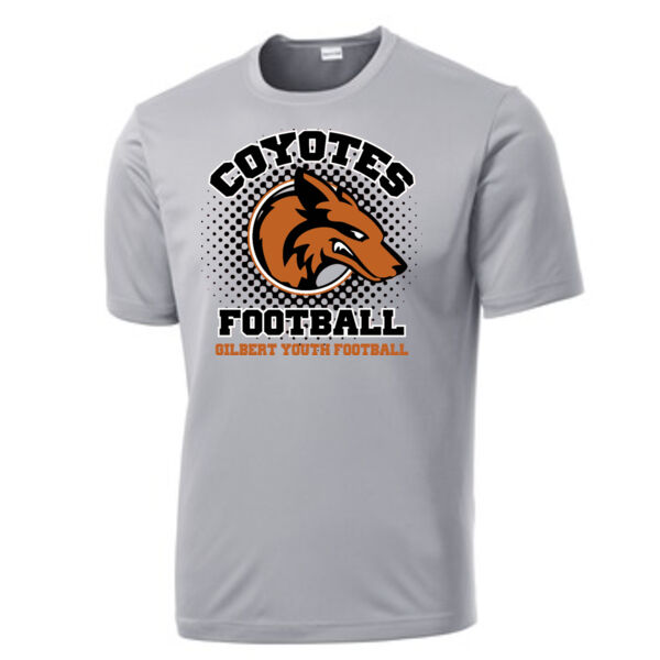 Silver Performance Coyotes Football Thumbnail